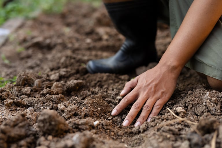 Preparazione terreno per orto