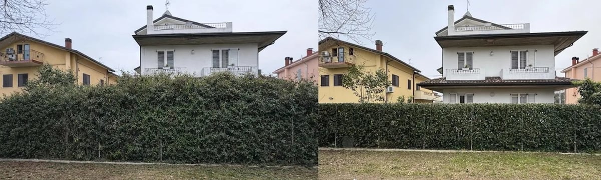 Case residenziali con siepi verdi ben mantenute